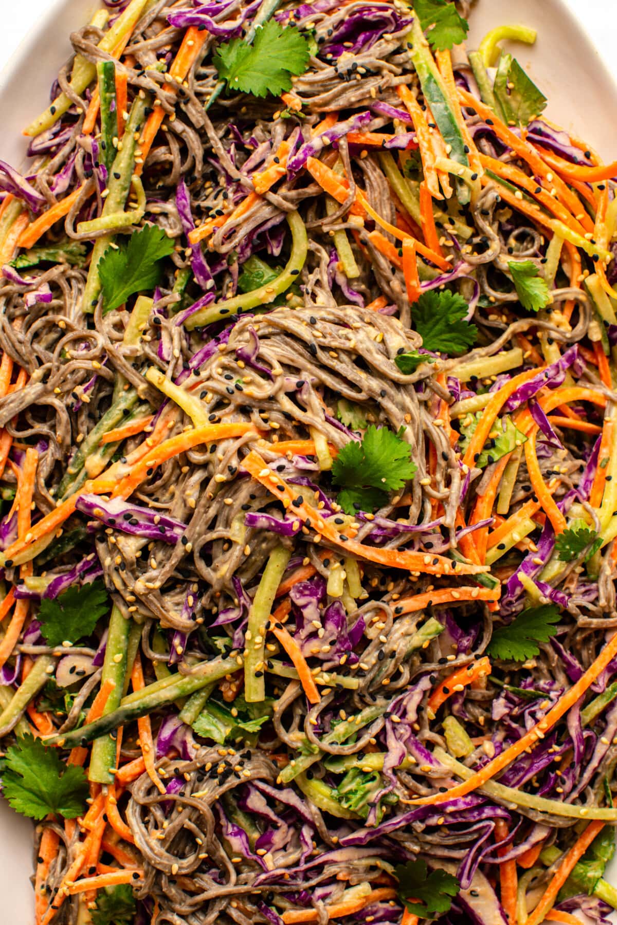 a zoomed in image of soba noodle salad